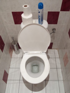 toilet repair plumber irvine