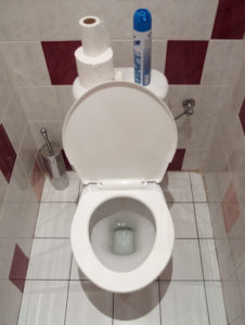 toilet repair plumber garden grove